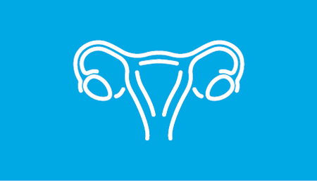 Piktogramm Weiß auf Blau, Gebärmutter, Beleg und Tagesklinik Gynäkologie, Siloah St. Trudpert Klinikum