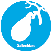 Behandlungsbeispiel Gallenblase