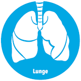 Behandlungsbeispiel Lunge 